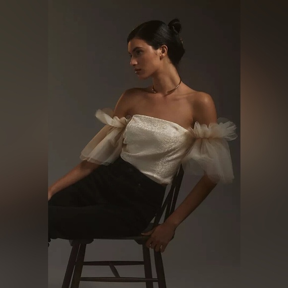 Anthropologie Sunday in Brooklyn Tulle Off The Shoulder Tapestry Bodice Top NWT - Picture 1 of 11